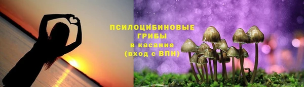гидра Баксан