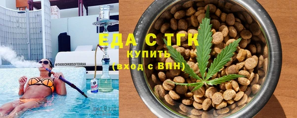 индика Покачи
